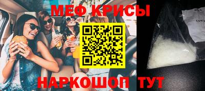 стаф Гай