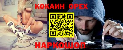 ГАЛЛЮЦИНОГЕННЫЕ ГРИБЫ Гатчина