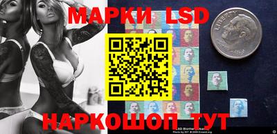 стаф Гай