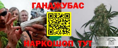 стаф Гай