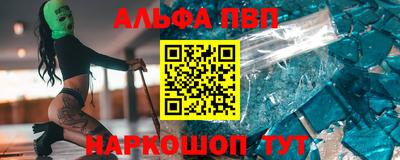 стаф Гай