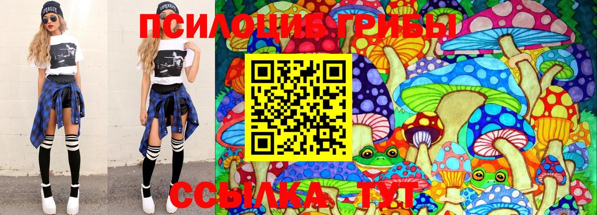 Новозыбков  Галлюциногенные грибы MAGIC MUSHROOMS  Вход с VPN 