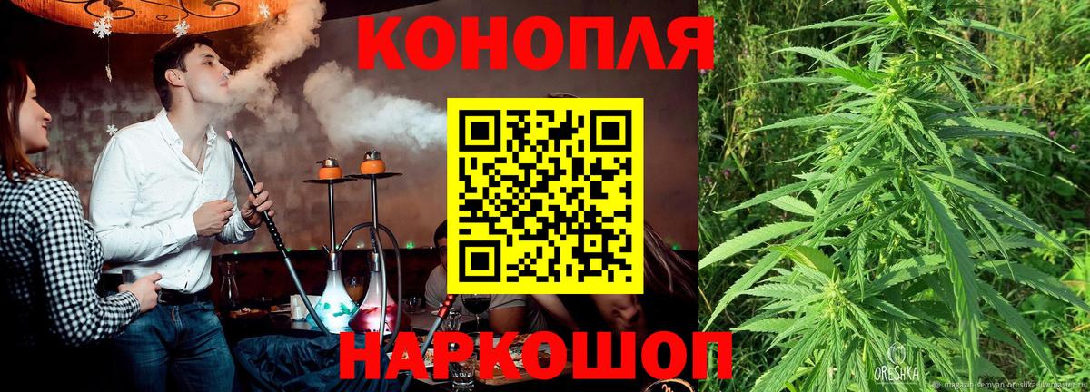 Канабис планчик  Марихуана индика  Новозыбков  Шишки марихуана конопля  Бошки Шишки White Widow  Вход с VPN 
